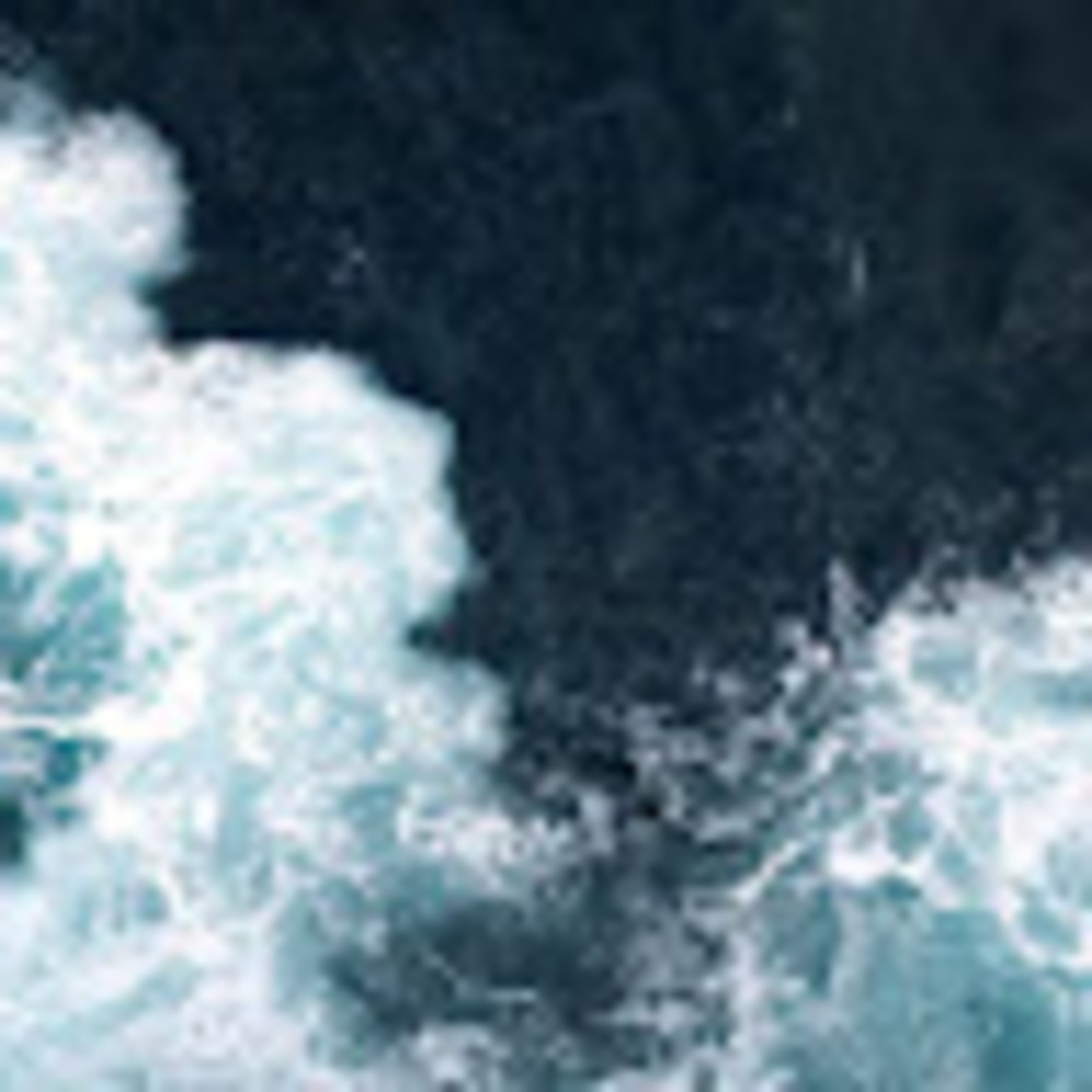 Meet your Posher, Claudia